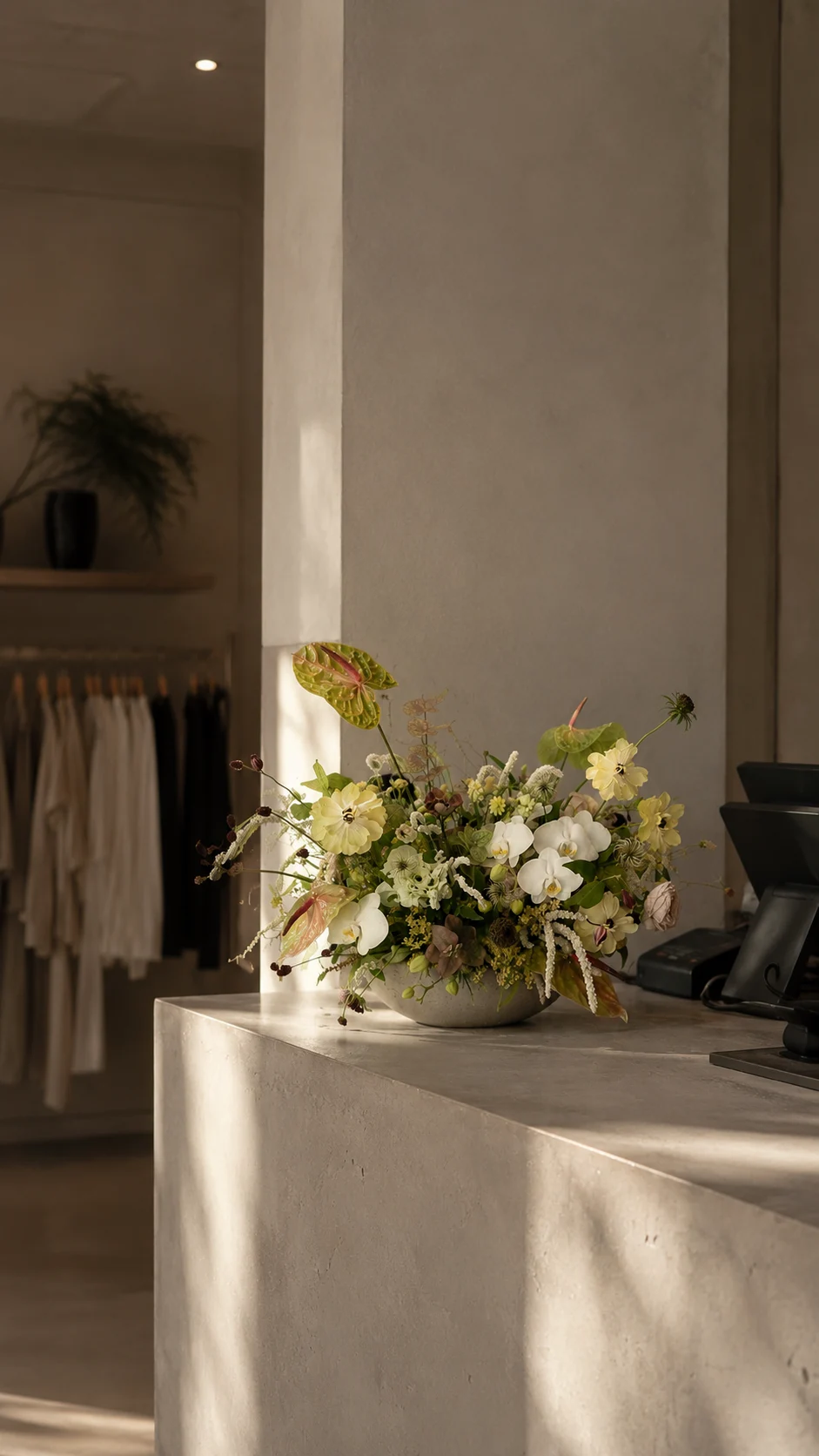 Sculptural white and green flowers in a softly lit interior