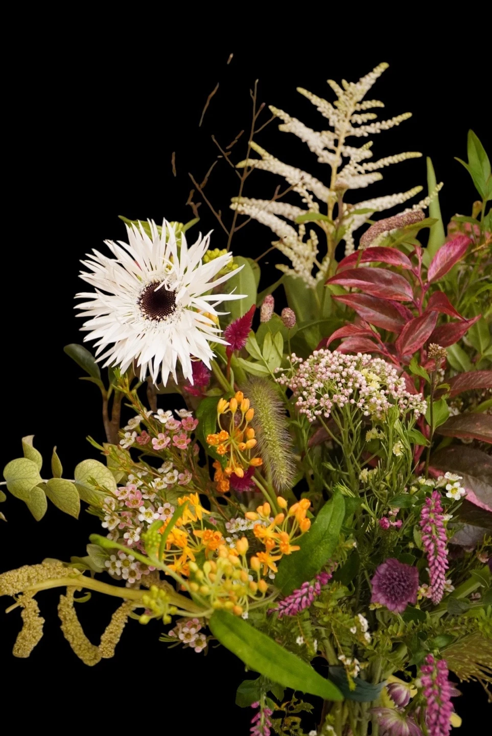 Expressive white and colorful flowers against a dark background